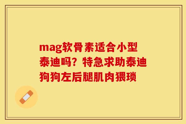 mag软骨素适合小型泰迪吗？特急求助泰迪狗狗左后腿肌肉猥琐