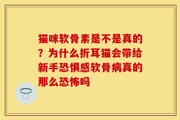 猫咪软骨素是不是真的？为什么折耳猫会带给新手恐惧感软骨病真的那么恐怖吗