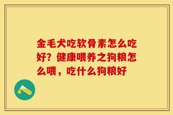 金毛犬吃软骨素怎么吃好？健康喂养之狗粮怎么喂，吃什么狗粮好
