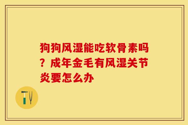 狗狗风湿能吃软骨素吗？成年金毛有风湿关节炎要怎么办
