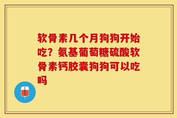 软骨素几个月狗狗开始吃？氨基葡萄糖硫酸软骨素钙胶囊狗狗可以吃吗