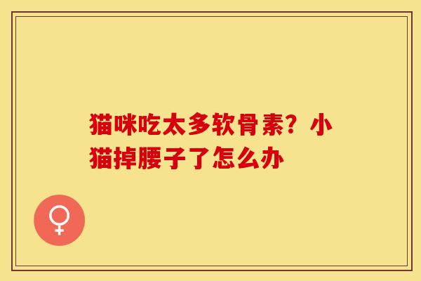 猫咪吃太多软骨素？小猫掉腰子了怎么办