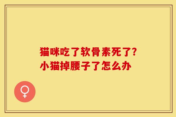猫咪吃了软骨素死了？小猫掉腰子了怎么办