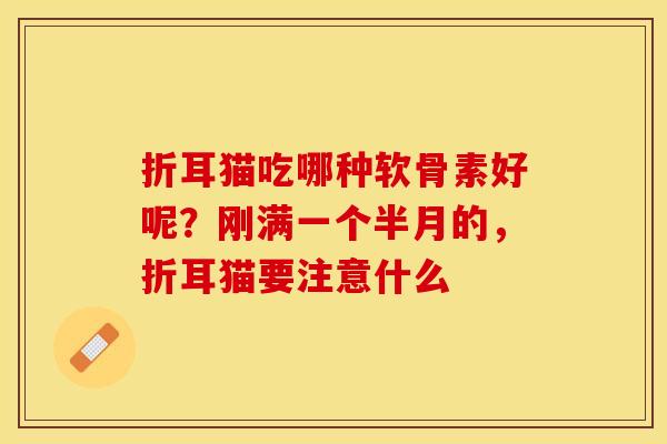 折耳猫吃哪种软骨素好呢？刚满一个半月的，折耳猫要注意什么