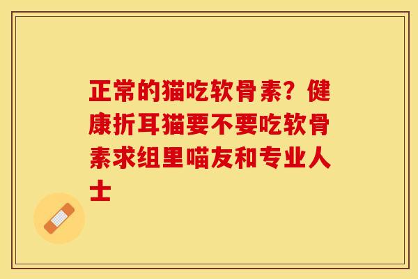 正常的猫吃软骨素？健康折耳猫要不要吃软骨素求组里喵友和专业人士
