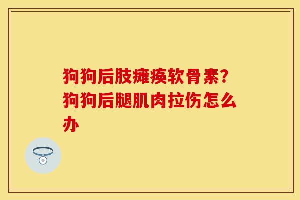 狗狗后肢瘫痪软骨素？狗狗后腿肌肉拉伤怎么办