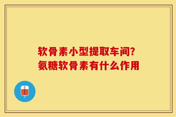 软骨素小型提取车间？氨糖软骨素有什么作用