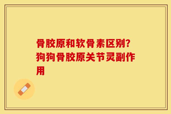 骨胶原和软骨素区别？狗狗骨胶原关节灵副作用