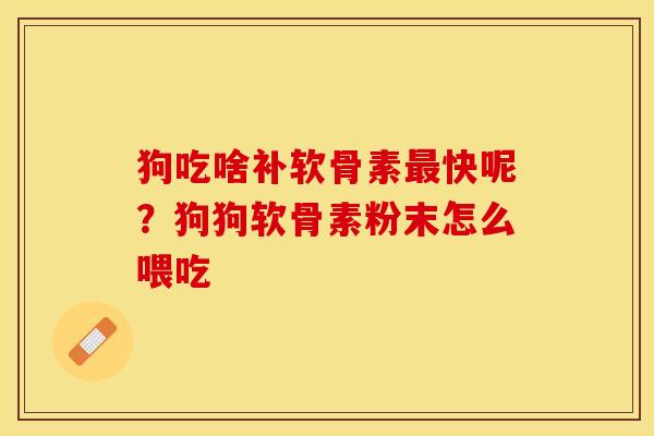 狗吃啥补软骨素最快呢？狗狗软骨素粉末怎么喂吃