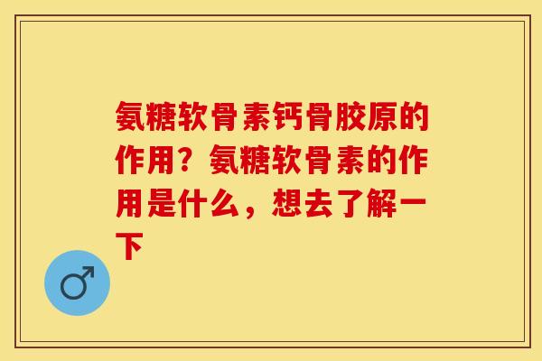 氨糖软骨素钙骨胶原的作用？氨糖软骨素的作用是什么，想去了解一下