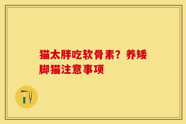 猫太胖吃软骨素？养矮脚猫注意事项