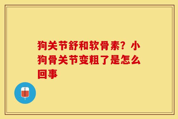 狗关节舒和软骨素？小狗骨关节变粗了是怎么回事