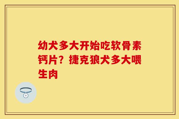 幼犬多大开始吃软骨素钙片？捷克狼犬多大喂生肉