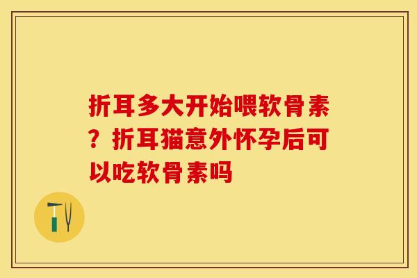 折耳多大开始喂软骨素？折耳猫意外怀孕后可以吃软骨素吗