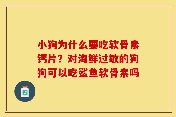 小狗为什么要吃软骨素钙片？对海鲜过敏的狗狗可以吃鲨鱼软骨素吗