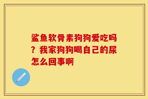 鲨鱼软骨素狗狗爱吃吗？我家狗狗喝自己的尿怎么回事啊