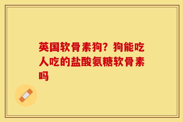 英国软骨素狗？狗能吃人吃的盐酸氨糖软骨素吗