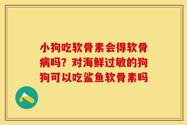 小狗吃软骨素会得软骨病吗？对海鲜过敏的狗狗可以吃鲨鱼软骨素吗