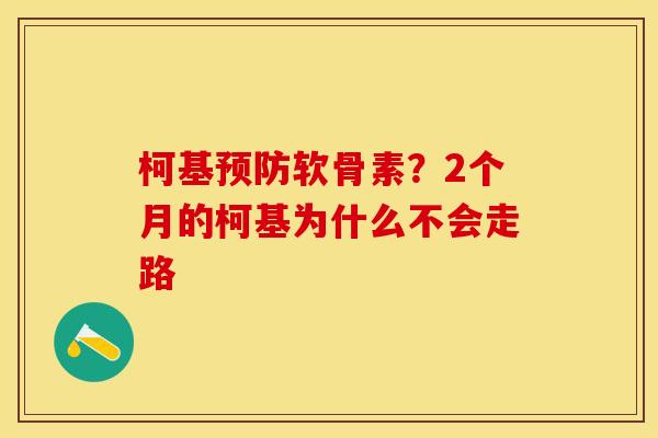 柯基预防软骨素？2个月的柯基为什么不会走路