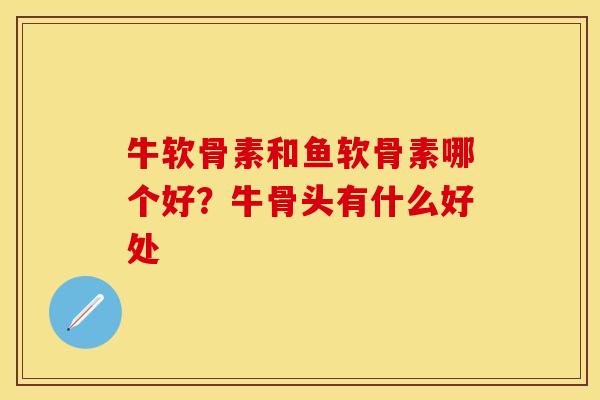 牛软骨素和鱼软骨素哪个好？牛骨头有什么好处