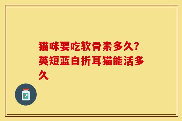 猫咪要吃软骨素多久？英短蓝白折耳猫能活多久