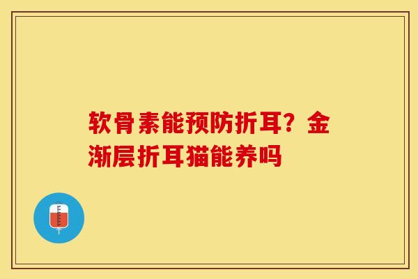 软骨素能预防折耳？金渐层折耳猫能养吗