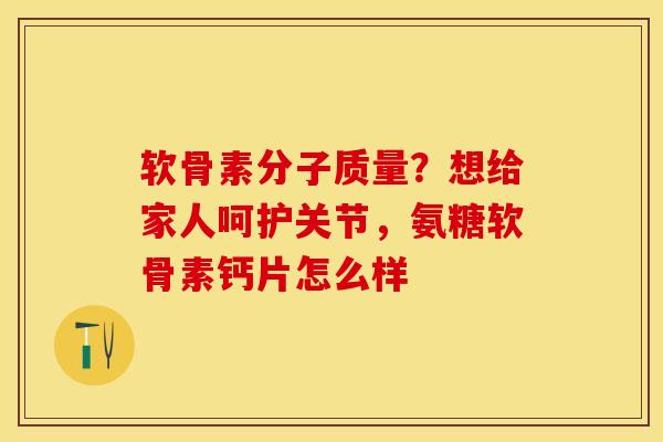 软骨素分子质量？想给家人呵护关节，氨糖软骨素钙片怎么样