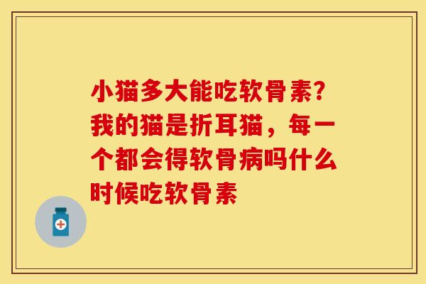 小猫多大能吃软骨素？我的猫是折耳猫，每一个都会得软骨病吗什么时候吃软骨素