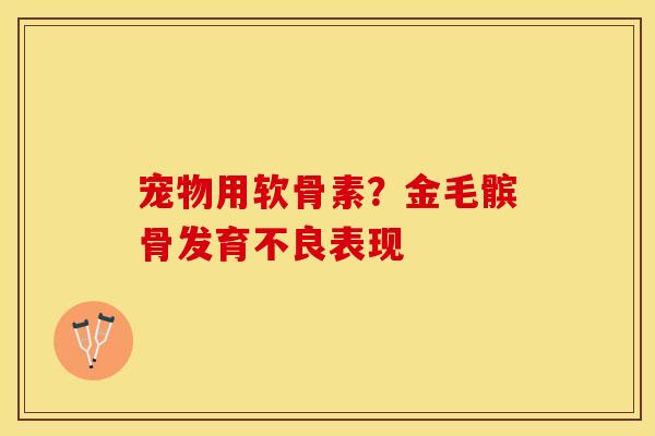 宠物用软骨素？金毛髌骨发育不良表现