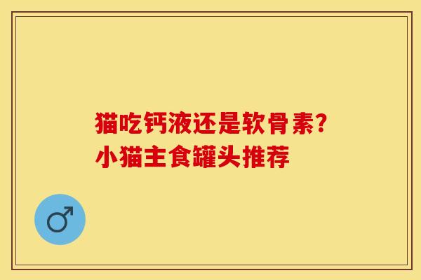 猫吃钙液还是软骨素？小猫主食罐头推荐