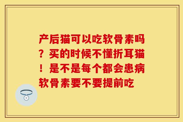 产后猫可以吃软骨素吗？买的时候不懂折耳猫！是不是每个都会患病软骨素要不要提前吃