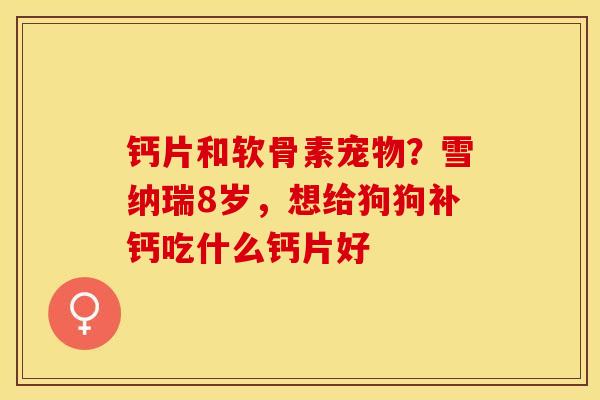钙片和软骨素宠物？雪纳瑞8岁，想给狗狗补钙吃什么钙片好