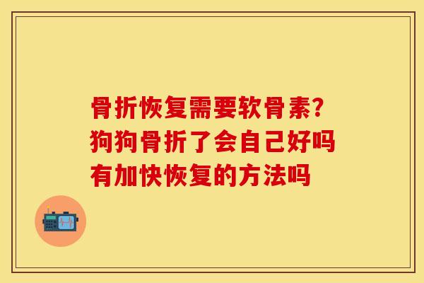 骨折恢复需要软骨素？狗狗骨折了会自己好吗有加快恢复的方法吗