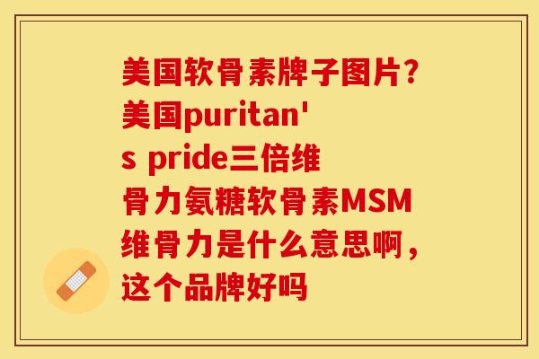 美国软骨素牌子图片？美国puritan's pride三倍维骨力氨糖软骨素MSM维骨力是什么意思啊，这个品牌好吗