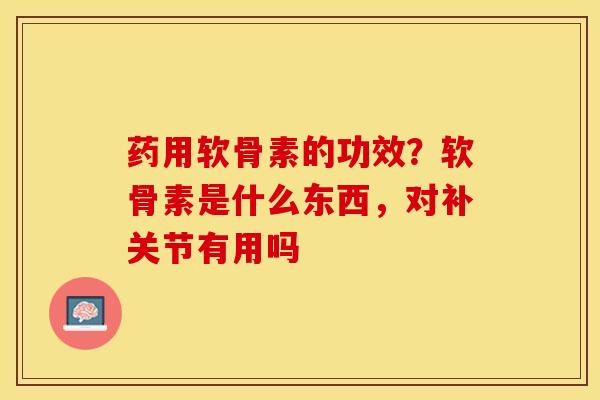 药用软骨素的功效？软骨素是什么东西，对补关节有用吗