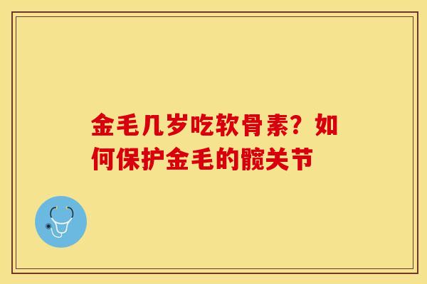金毛几岁吃软骨素？如何保护金毛的髋关节