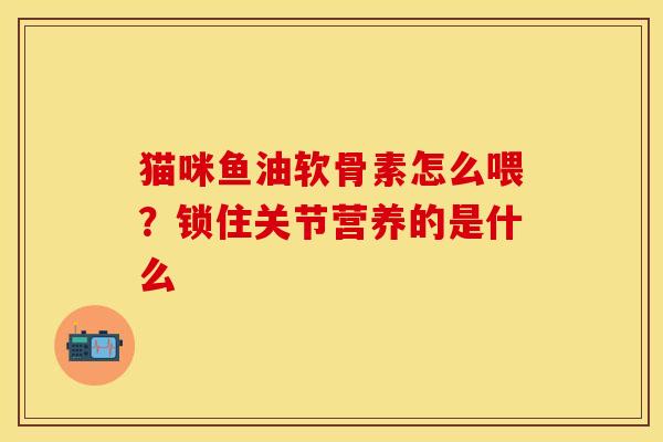 猫咪鱼油软骨素怎么喂？锁住关节营养的是什么