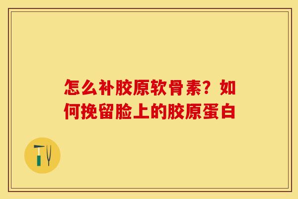 怎么补胶原软骨素？如何挽留脸上的胶原蛋白