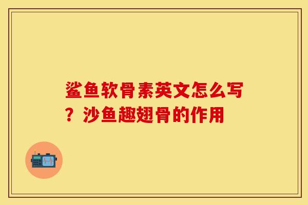 鲨鱼软骨素英文怎么写？沙鱼趣翅骨的作用