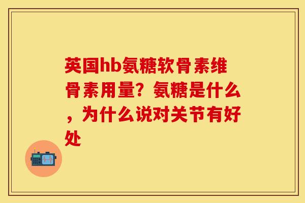 英国hb氨糖软骨素维骨素用量？氨糖是什么，为什么说对关节有好处