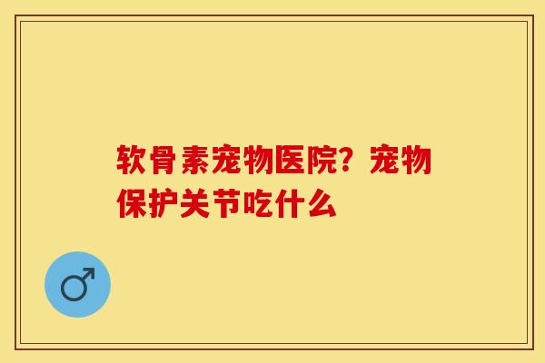 软骨素宠物医院？宠物保护关节吃什么