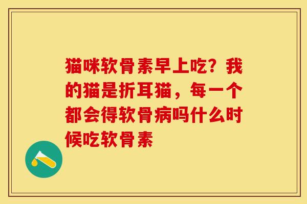猫咪软骨素早上吃？我的猫是折耳猫，每一个都会得软骨病吗什么时候吃软骨素