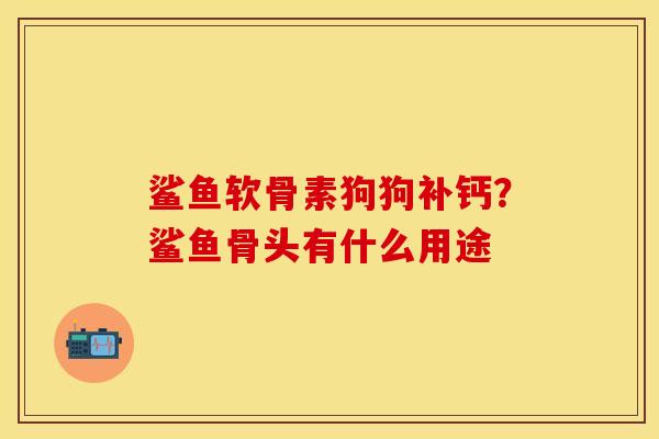 鲨鱼软骨素狗狗补钙？鲨鱼骨头有什么用途