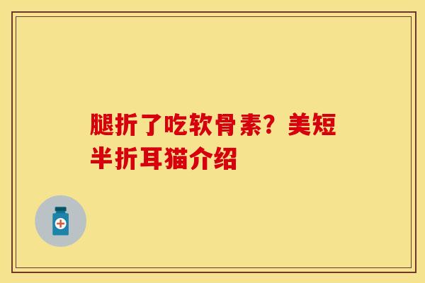 腿折了吃软骨素？美短半折耳猫介绍