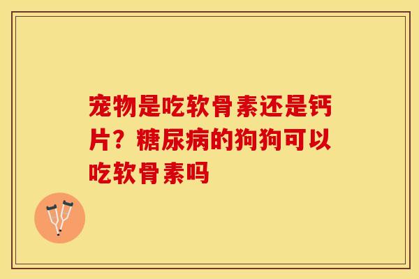 宠物是吃软骨素还是钙片？糖尿病的狗狗可以吃软骨素吗