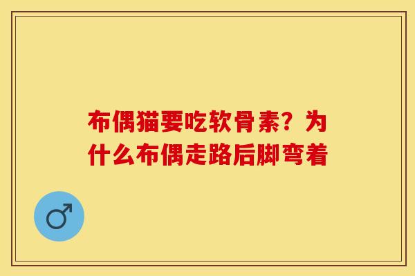 布偶猫要吃软骨素？为什么布偶走路后脚弯着