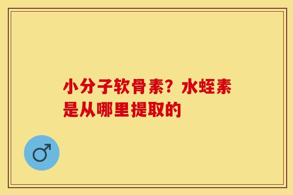 小分子软骨素？水蛭素是从哪里提取的
