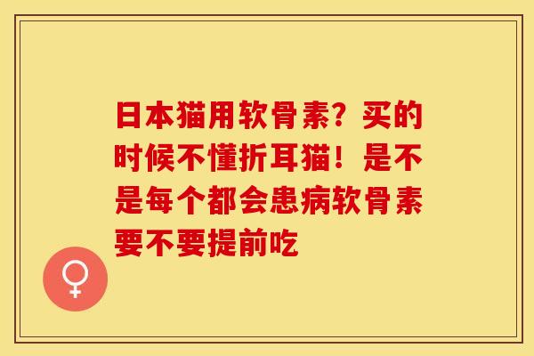 日本猫用软骨素？买的时候不懂折耳猫！是不是每个都会患病软骨素要不要提前吃