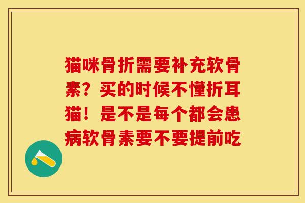 猫咪骨折需要补充软骨素？买的时候不懂折耳猫！是不是每个都会患病软骨素要不要提前吃