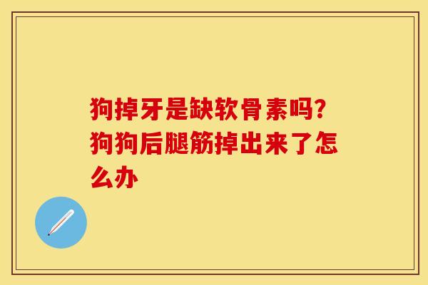 狗掉牙是缺软骨素吗？狗狗后腿筋掉出来了怎么办